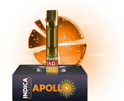 APOLLO