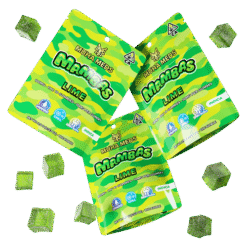 LIME (1 Pack)