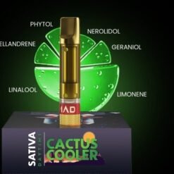 CACTUS COOLER 4