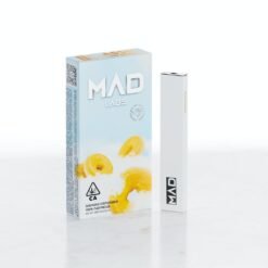 Glazed Donut madlabs disposable