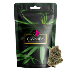 OG Kush Strain Fryd